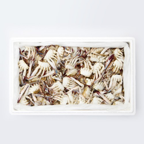 ��ǰ�̹���